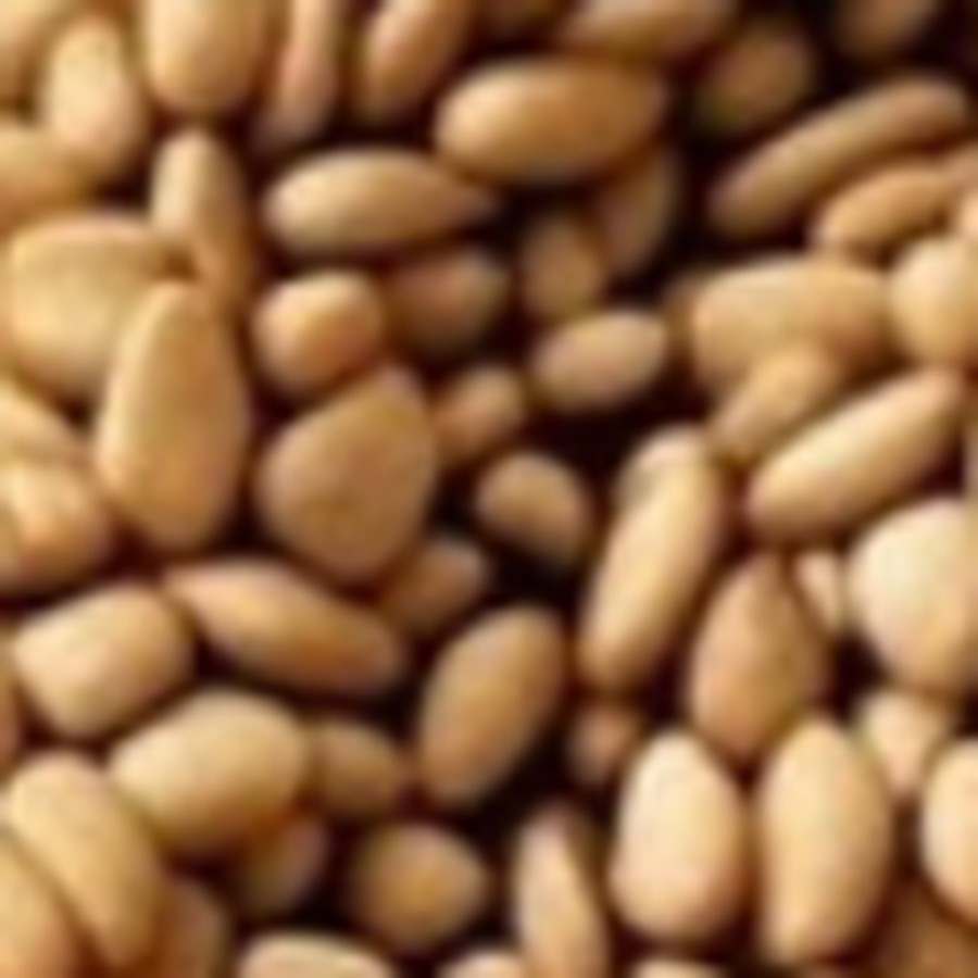 Natural Sesame Seeds